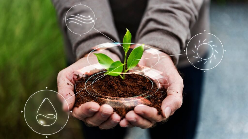 Bonos de carbono: una herramienta para evitar la causación del Impuesto Nacional al Carbono