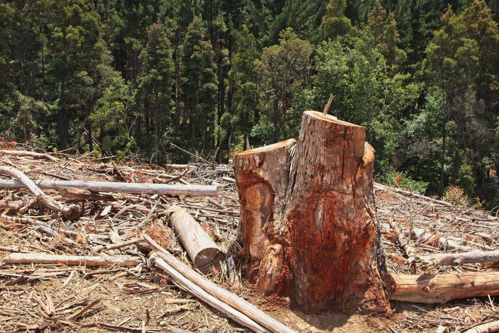 Pasivo Ambiental